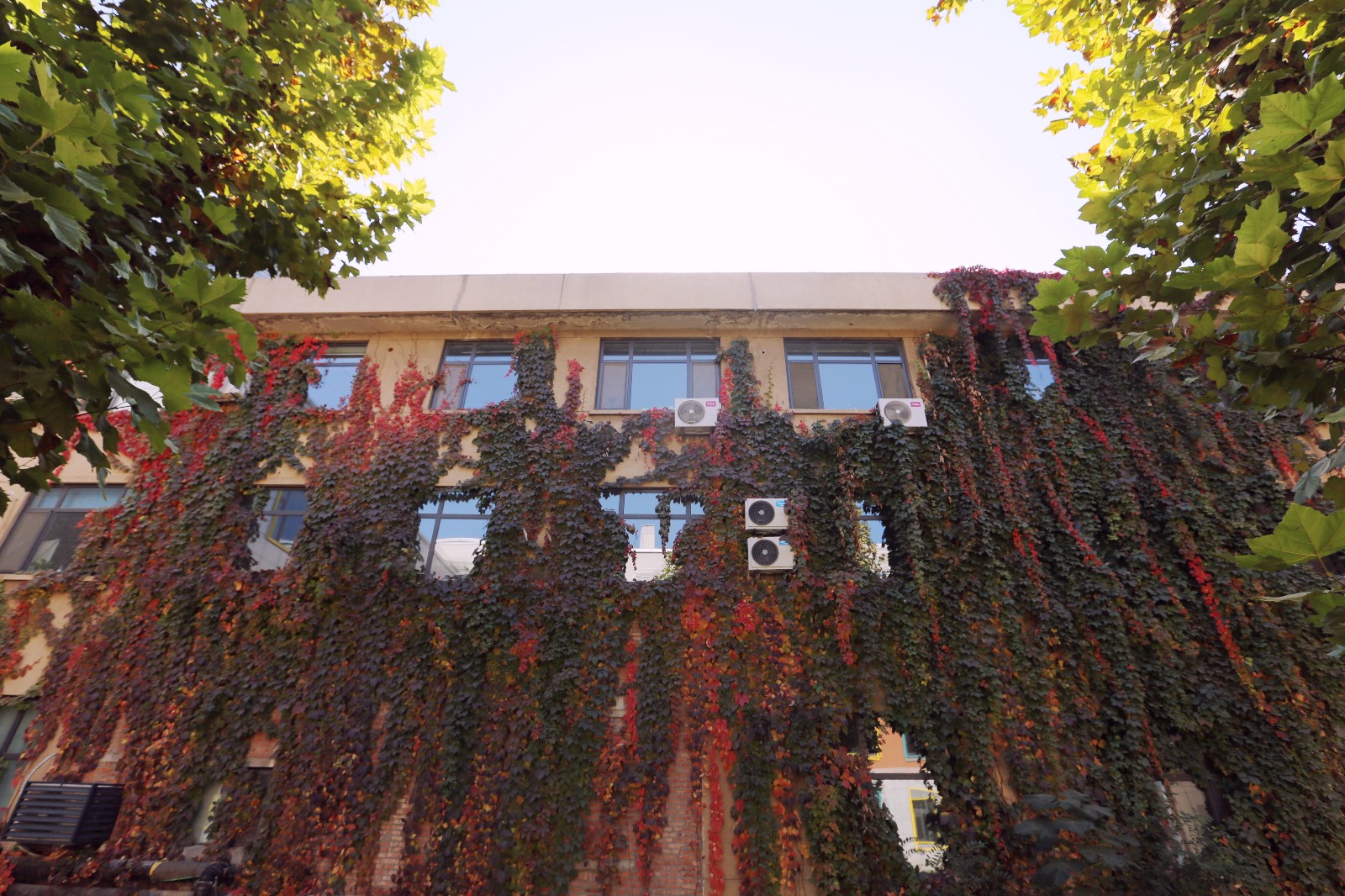 山影星工坊的秋色，與心中的美好不期而遇